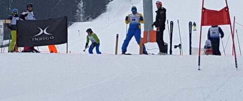 Skifahrer bereiten sich am Start einer Piste vor, umgeben von verschneiten Bäumen und farbigen Markierungen.