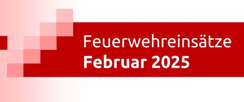 Grafik mit der Aufschrift "Feuerwehreinsätze Februar 2025" in einem roten Banner auf einem weißen Hintergrund.